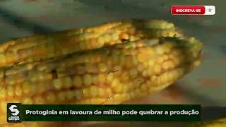 Miniatura do vídeo
