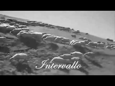 INTERVALLO RAI DELLE PECORE ORIGINALE   IPNOSI DI MASSA