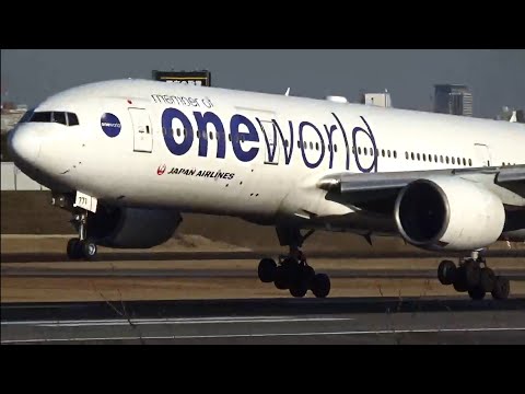 伊丹スカイパーク JAL(oneworld Livery)Boeing777-246[JA771J]Landing and Takeoff! Osaka Itami (ITM / RJOO)