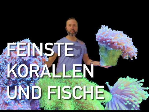 A care tank is getting new inhabitants!