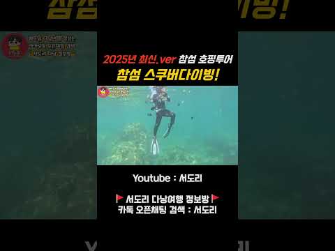 베트남 다낭 참섬 스쿠버다이빙 직접 해보았습니다. #베트남다낭 #다낭