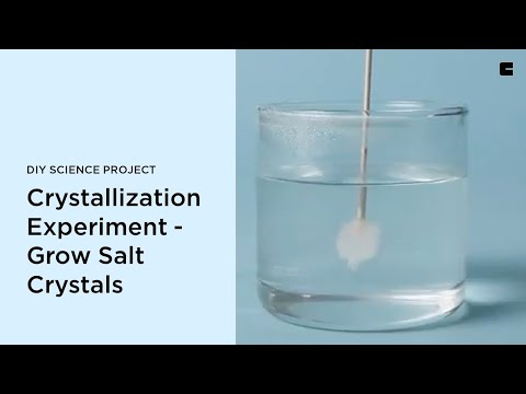 Crystallization Experiment - Grow Salt Crystals | DIY Science Project