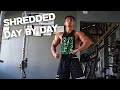 TRYING TO GET SHREDDED ON OFF SEASON | CUTTING TIPS