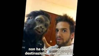 Pablo Alborán  &quot;Loco de atar&quot; sub ita