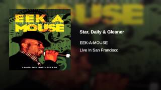 Star, Daily & Gleaner