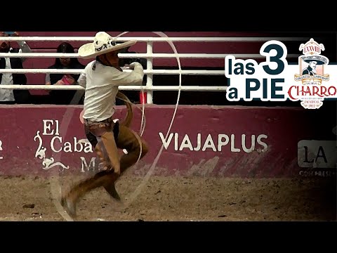 Complete Charro Quique Jimenez - 2022 Zacatecas Congress - 3 of 3 Manganas on Foot