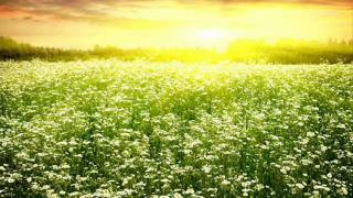 The Static Jacks - Into The Sun (RAC Maury Mix)