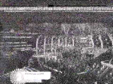 TV DX tropo TVP-2 150 km