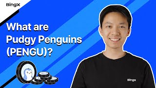 What Are Pudgy Penguins (PENGU)?