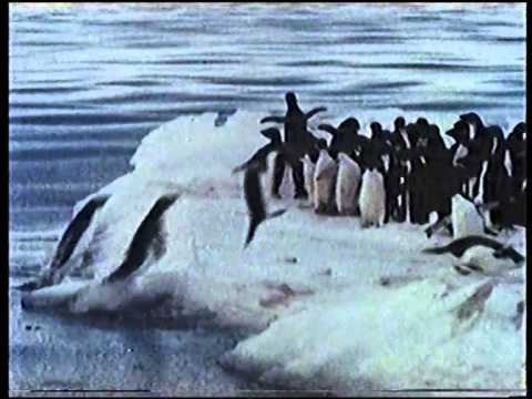 BBC =2= Junction - Tuesday 5th October 1982