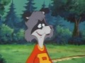 The Raccoons New World Music Video