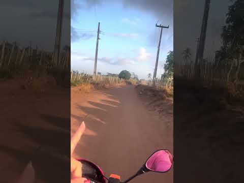 HO NORDESTE BOM E APERRIADO#estrada #nordeste #paraiba #pedroregis