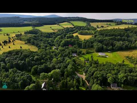 Paczyn (powiat kamiennogórski)