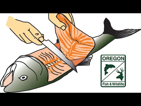 How to prepare a fish to cook, ODFW Angler Education video