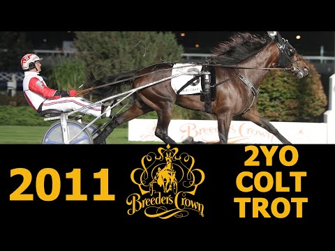2011 Breeders Crown - Uncle Peter - 2CT