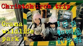 【ニュージーランド】クイーンズタウンで暮らす日本人家族の旅行クライストチャーチ編。オラーナワイルドライフパーク。動物園前半戦