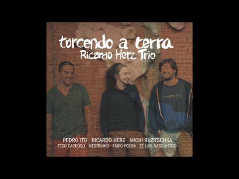 Ricardo Herz Trio - torcendo a terra  (album completo - full album)