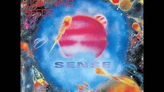 Lightning Seeds - A cool place