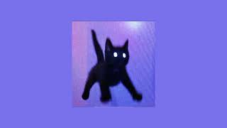 Cover art for La chona