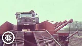 Уникальные машины на полях Алтая. Время. Эфир 31 мая 1979