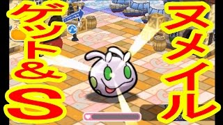 凶悪 クリア出来ないバグ発生中 691 ピッピ パズルステージでピッピオジャマが発生しない ポケとる実況 تنزيل الموسيقى Mp3 مجانا