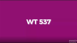 WT 537
