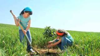 When I Dream ~Pigtail Pals theme song ~by Jill Dawson