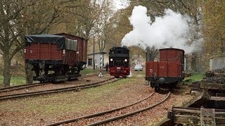 preview picture of video '20 Jahre POLLO - Güterzugbetrieb im Herbst 2013'