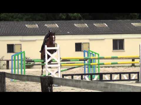 Laure et Ridjy - séance de travail (28/07/2015)