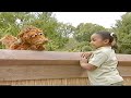 Barney Let S Go To The Zoo Scooter McNutty VHS Capture 1