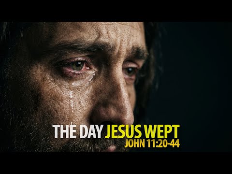 20260222 The Lively Stones