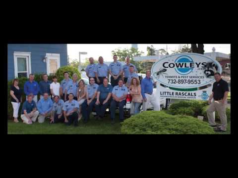 Testimonial - Over Delivering on Expectations