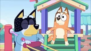 2 and a half minutes of Chilli Heeler becoming an unhinged lunatic