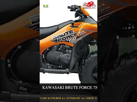 Kawasaki Brute Force 750 4x4i EPS - Video 1