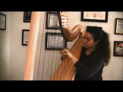 Pop/Rock Medley by Analee Cantu on Harp | Ed Sheeran, Maroon 5, Imagine Dragons, Avicii, and more!