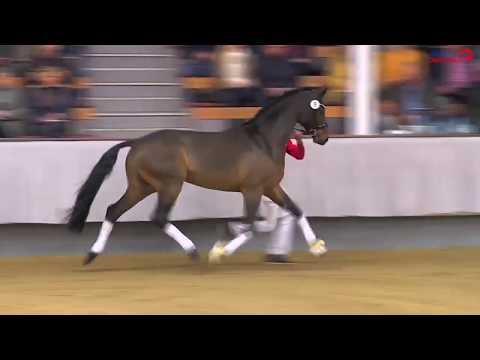 Bourbon v. Baccardi - Lissaro - Davignon I