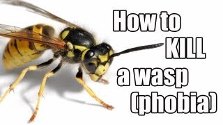 Episode #21 - How to kill a wasp (phobia)