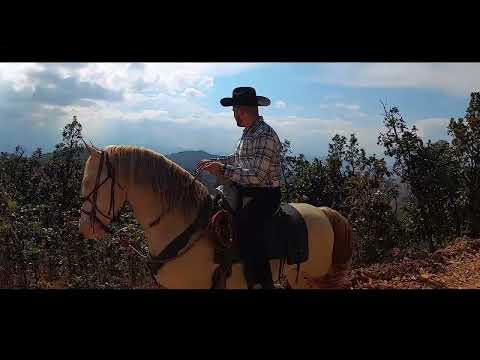 EL VIGILANTE - BANDA PLAYA GRANDE