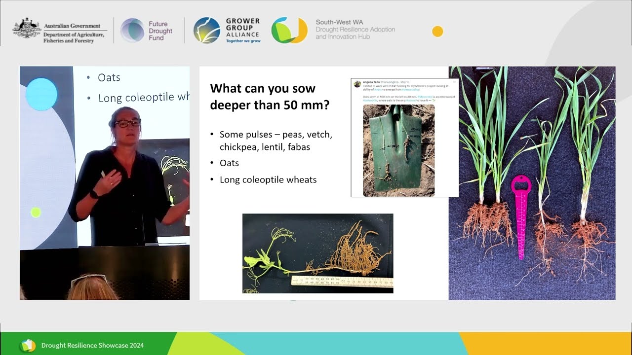 Improving sowing opportunities for increased farm resilience in a changing climate