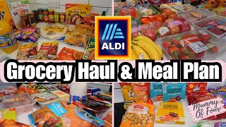 Aldi Grocery Haul & Meal Plan April 2024