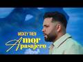 Mickey Then - Amor Pasajero Video Oficial  Tipico 2026