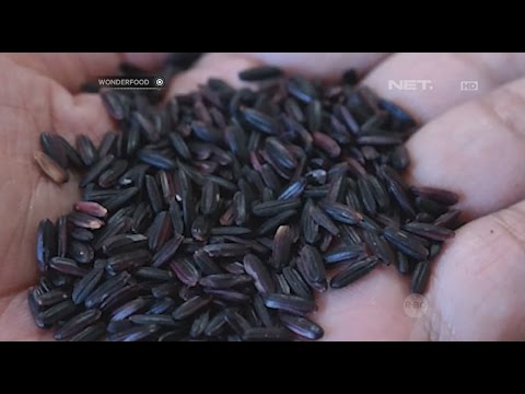 download lagu mp3 mp4 Cara Diet Dengan Beras Hitam, download lagu Cara Diet Dengan Beras Hitam gratis, unduh video klip Cara Diet Dengan Beras Hitam
