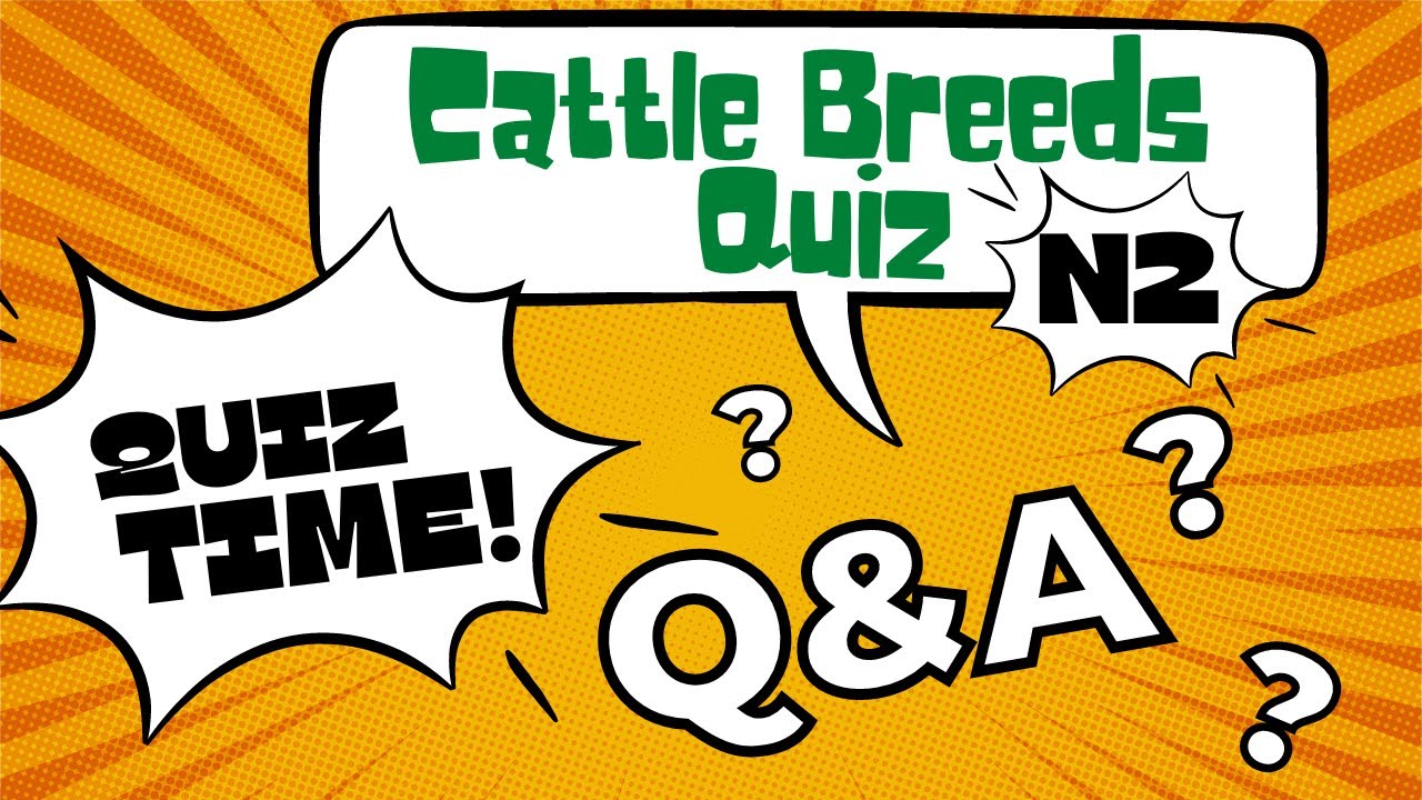 Cattle Breeds Quiz  ~ Cattle Breeds N2