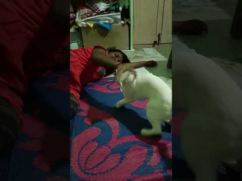 With my lovely cat 🐈 fight ❤️❤️🖤🖤