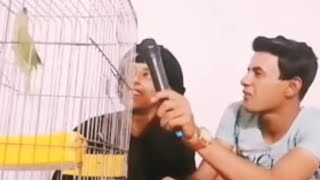برنامج مخموط اصبعة ابو بريج مع حيواناته