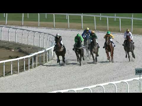 2021.10.03. 02. futam - "ÁRVÍZI HAJÓS" HENDIKEP (V/b.)(szintetikus pálya)