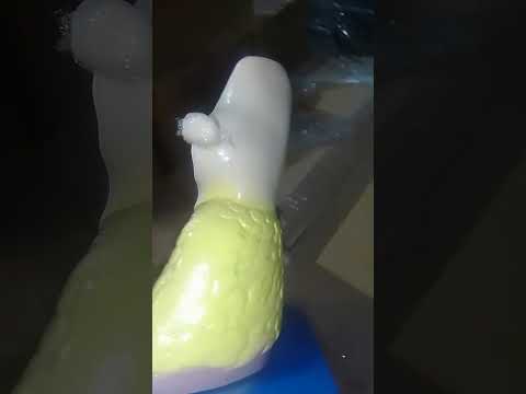 Rectum Anatomical Models