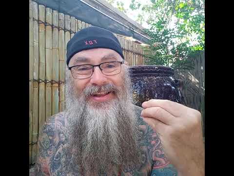 ACIM WB Lesson 67 ~ A COURSE IN MIRACLES WORKBOOK LESSONS WHITE EDITION ~ 365 DAYS W/ DAVE PHARE