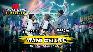 Download lagu WANI GELUTE - CAK SODIQ VS BRODIN | NEW MONATA mp3 Download lagu WANI GELUTE - CAK SODIQ VS BRODIN | NEW MONATA mp3