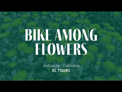 Bike Among Flowers Tour : Antioquia (EC TOURS)